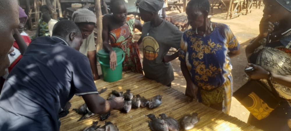 Fresh Fish Vendors in Pallisa Decry Scarcity, Face Financial Strain