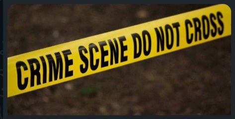 LC1 Chairperson Left in Shock After Night Theft of His Motorcycle in Pallisa