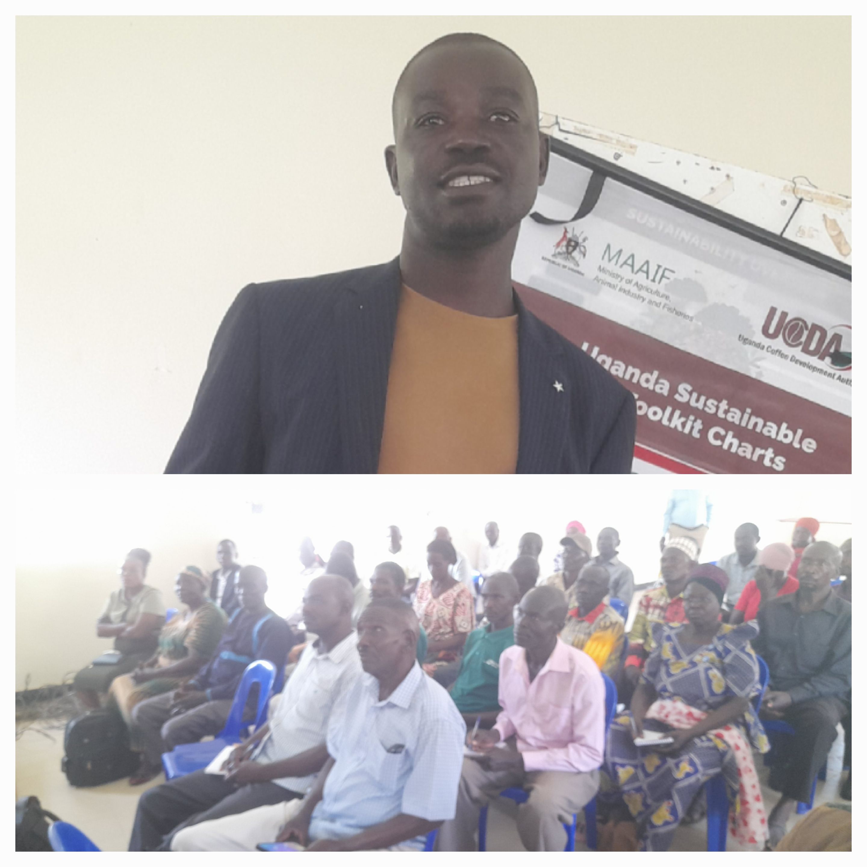 Pallisa Farmers Embrace Coffee Revolution as Government Expands Training to Boost Incomes