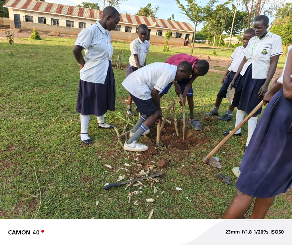 Soroti Primary Schools Receive 100 Tree Seedlings in Major Green Initiative