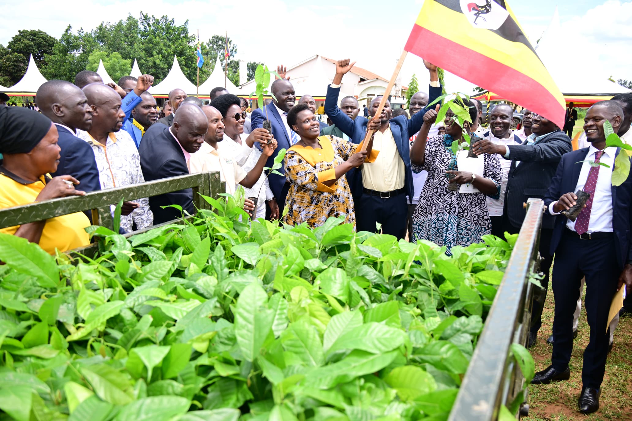 VP Alupo, Bukedi Leaders Launch Campaign to Boost Coffee and Cocoa Production